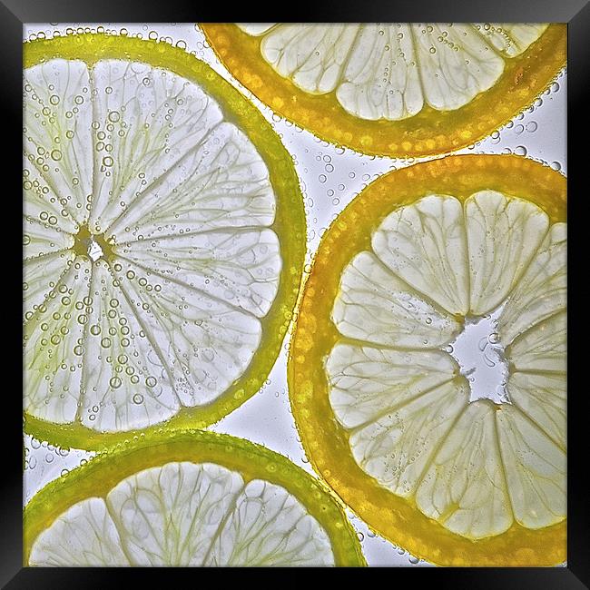 Lemon and Lime Framed Print by Ian Johnston  LRPS