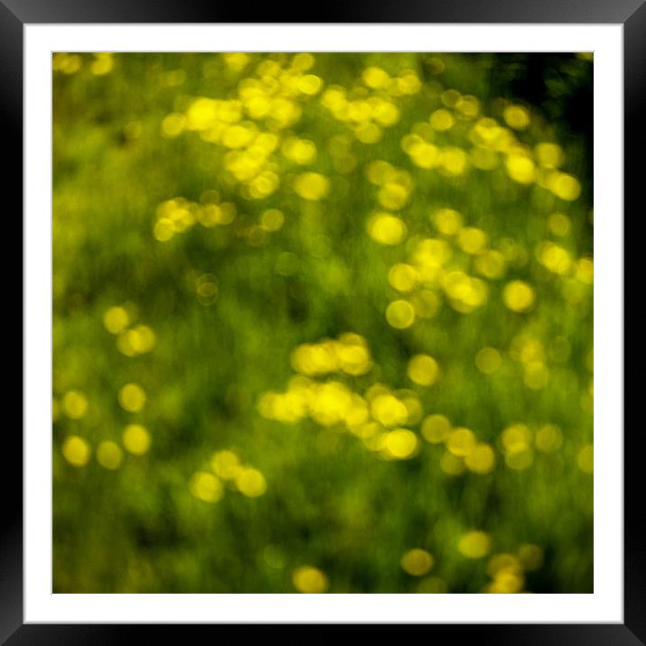 Hedgerow Abstract - Hay Fever Camera Framed Mounted Print by Ian Johnston  LRPS