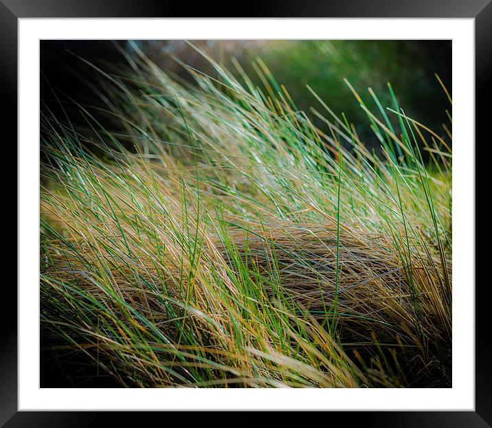 “In creating, ..... Framed Mounted Print by Ian Johnston  LRPS
