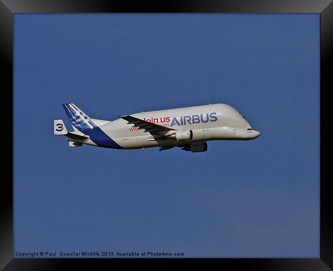 Airbus A300-600st Framed Print by Paul Scoullar