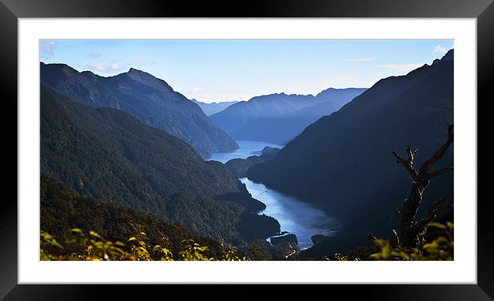 Doubtful Sound from Wilmott Pass Framed Mounted Print by