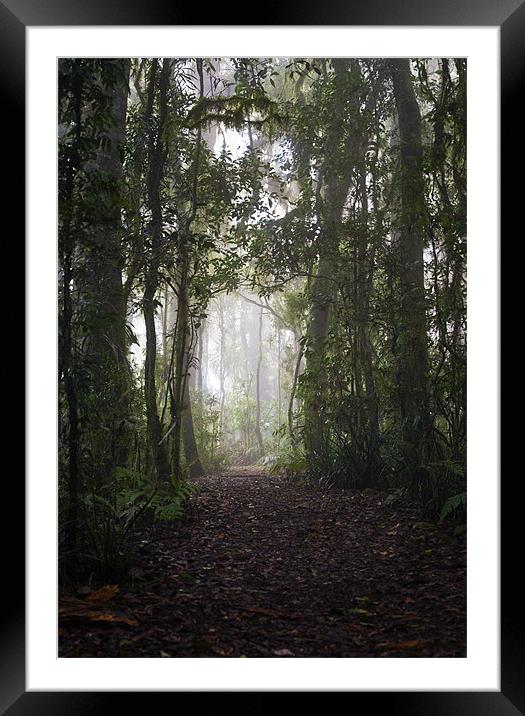 The Path to Enchantment Framed Mounted Print by
