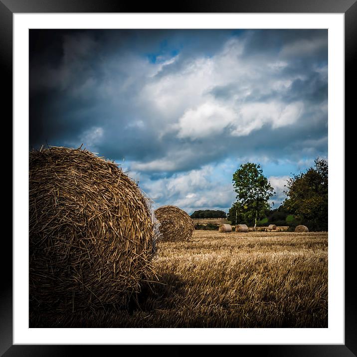 Autumn Harvest II Framed Mounted Print by Anne Whiteside