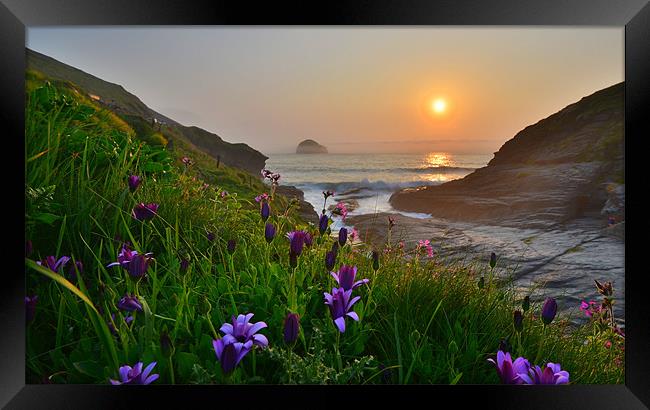 Cornwall: Flowers at the Strand Framed Print by Rob Parsons