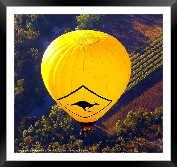 Soaring over Cairns Framed Mounted Print by carolyn stewart