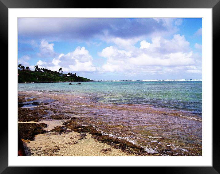 Aliomanu Beach, Kauai, Hawaii Framed Mounted Print by Marcy Morris