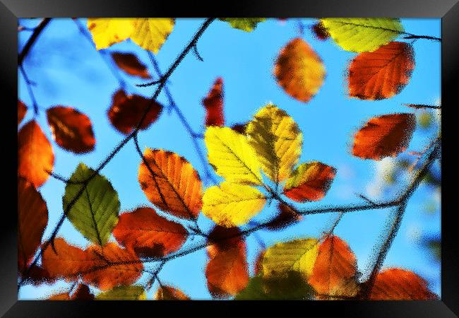  Impressions of Autumn Framed Print by Rob Smith