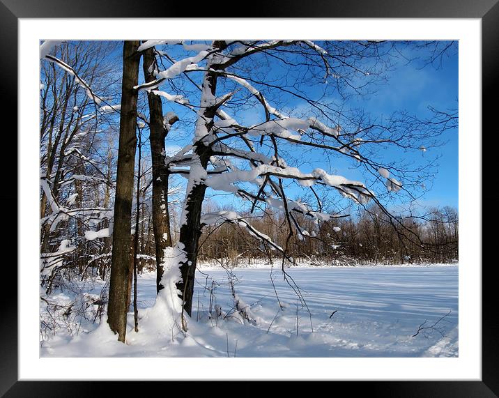 Winter Framed Mounted Print by Mary Lane