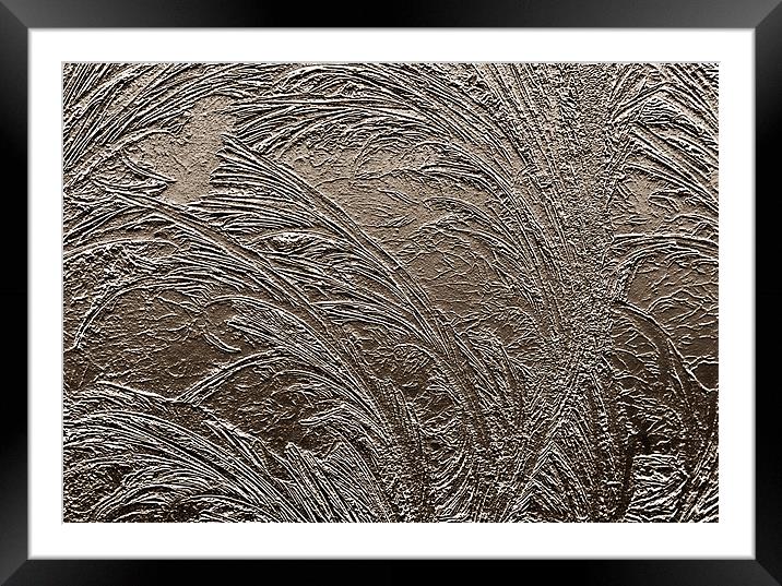 Metallic Frost Framed Mounted Print by Mary Lane