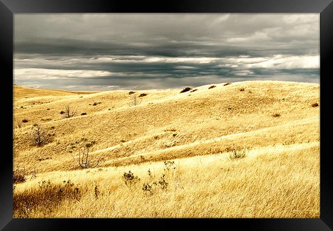 Storm over Wyoming Framed Print by Mary Lane