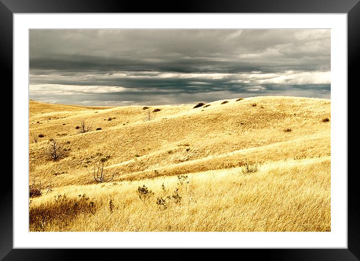 Storm over Wyoming Framed Mounted Print by Mary Lane