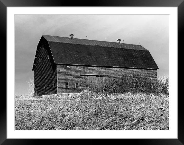 Barn Framed Mounted Print by Mary Lane
