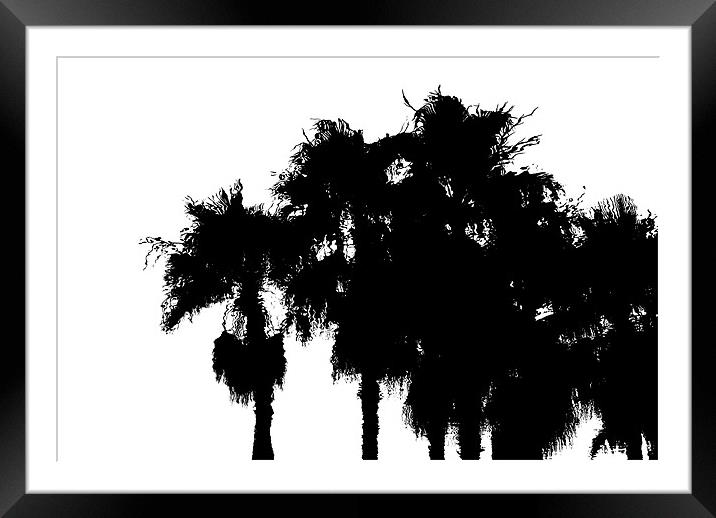 Palms Framed Mounted Print by Mary Lane