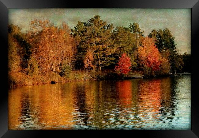 Sunset on the Lake Framed Print by Mary Lane