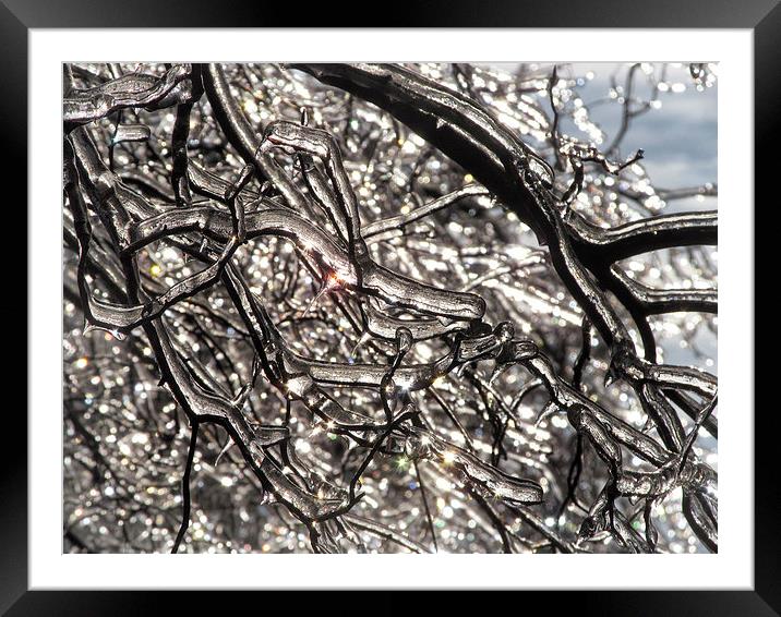Ice Bright Framed Mounted Print by Mary Lane