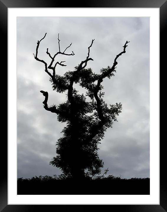Gothic Tree Framed Mounted Print by Mary Lane