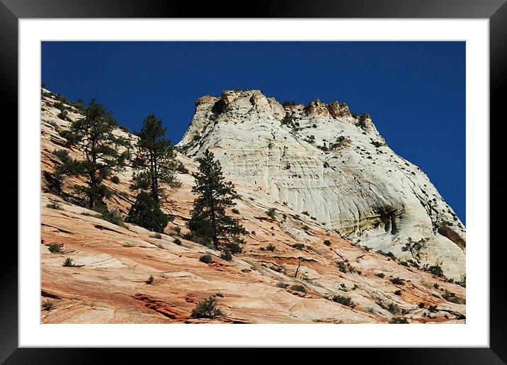 Zion Beehive Framed Mounted Print by Mary Lane
