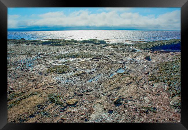 Bay of Fundy Framed Print by Mary Lane