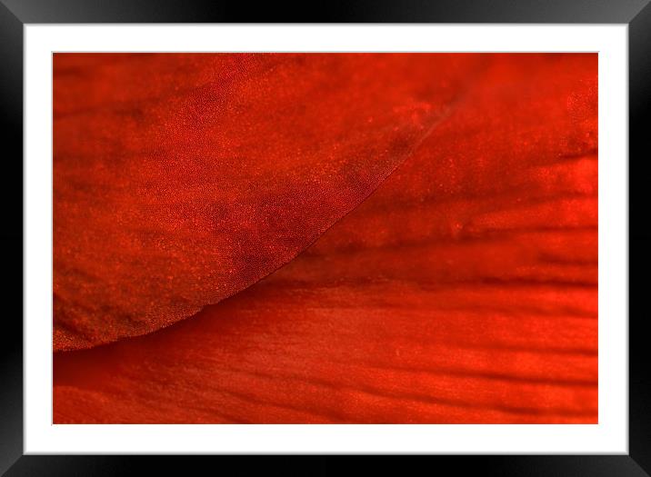 Red Texture Framed Mounted Print by Mary Lane