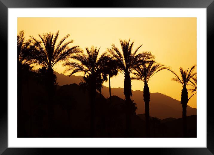 Sunset Palm Springs Framed Mounted Print by Mary Lane