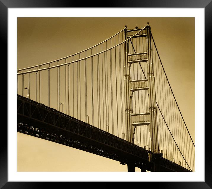 Golden Gate Framed Mounted Print by Mary Lane