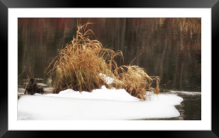 Winter River Framed Mounted Print by Mary Lane