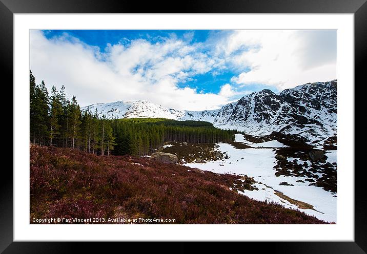 Corrie Fee Framed Mounted Print by Fay Vincent