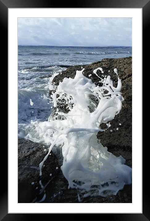 Splash Framed Mounted Print by lee wilce