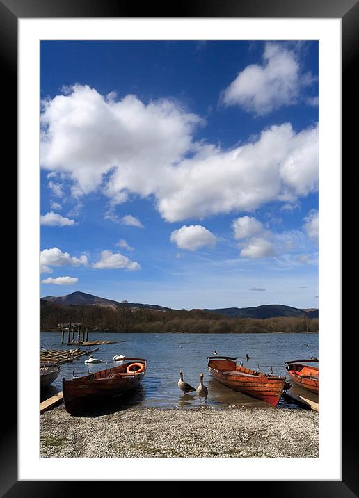 Derwent Water Geese on Lake Framed Mounted Print by Phillip Orr