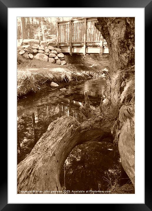 bridge in the woods Framed Mounted Print by  