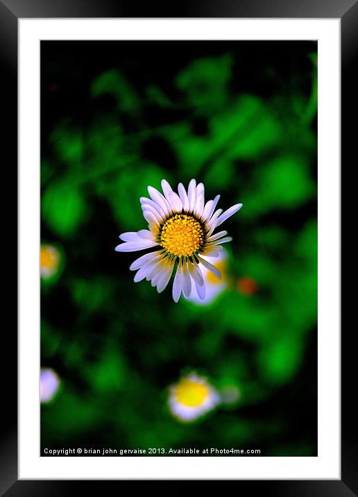 lonely Framed Mounted Print by  