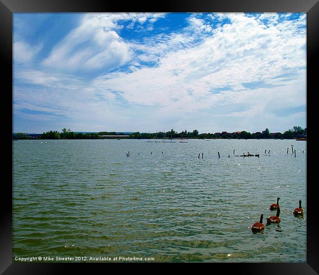 Poole Park Lake Framed Print by Mike Streeter