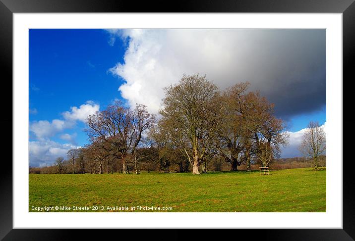 Winter Framed Mounted Print by Mike Streeter