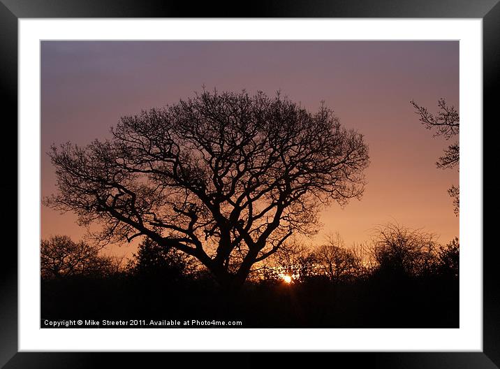 Sunrise in Purbeck Framed Mounted Print by Mike Streeter