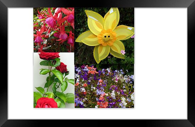 Floral Collage Framed Print by Mike Streeter