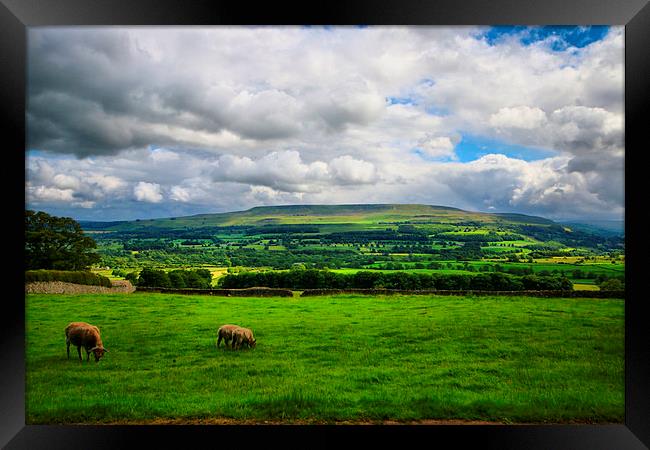  Green Green Grass Of Home Yorkshire. Framed Print by Marie Castagnoli