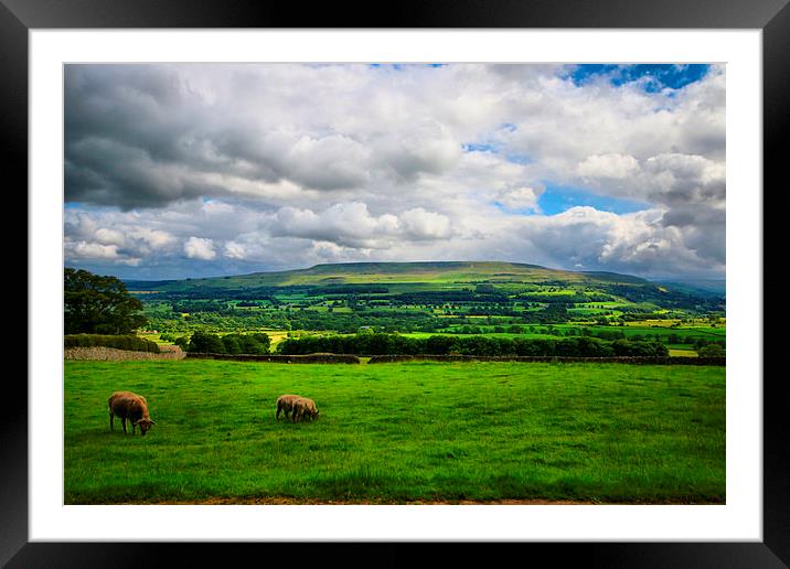  Green Green Grass Of Home Yorkshire. Framed Mounted Print by Marie Castagnoli