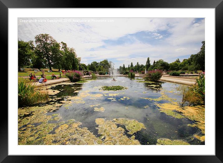    The Water Feature Framed Mounted Print by Marie Castagnoli