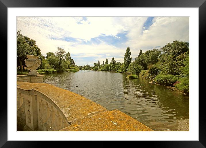  The Serpentine Framed Mounted Print by Marie Castagnoli