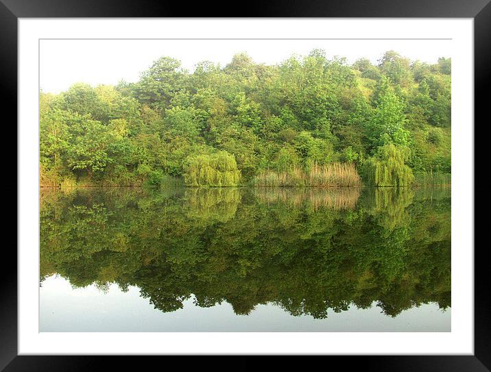    Mirror Image Framed Mounted Print by Marie Castagnoli