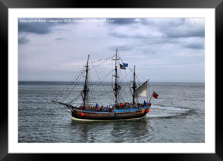  It's A Pirates Life For Me ! Framed Mounted Print by Marie Castagnoli