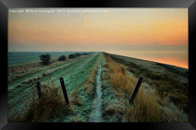  Walkway to the wilderness Framed Print by Marie Castagnoli