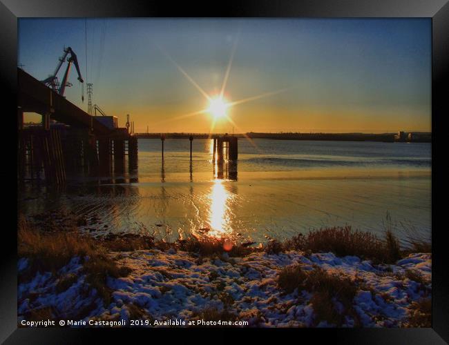 Winter Sun  Framed Print by Marie Castagnoli