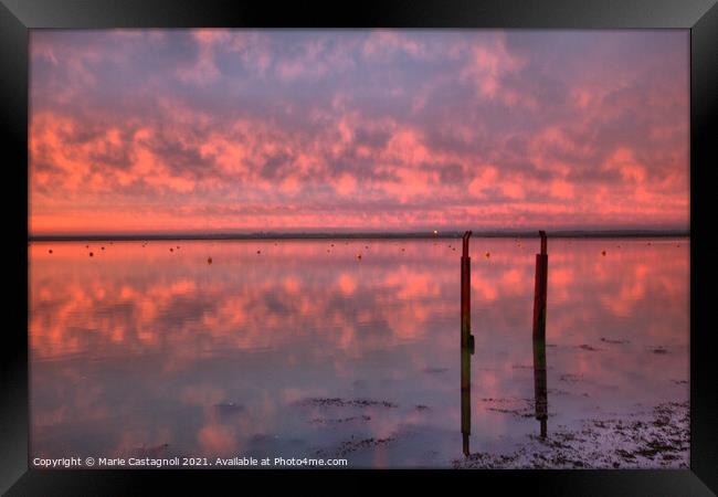 Crimson Reflections Framed Print by Marie Castagnoli