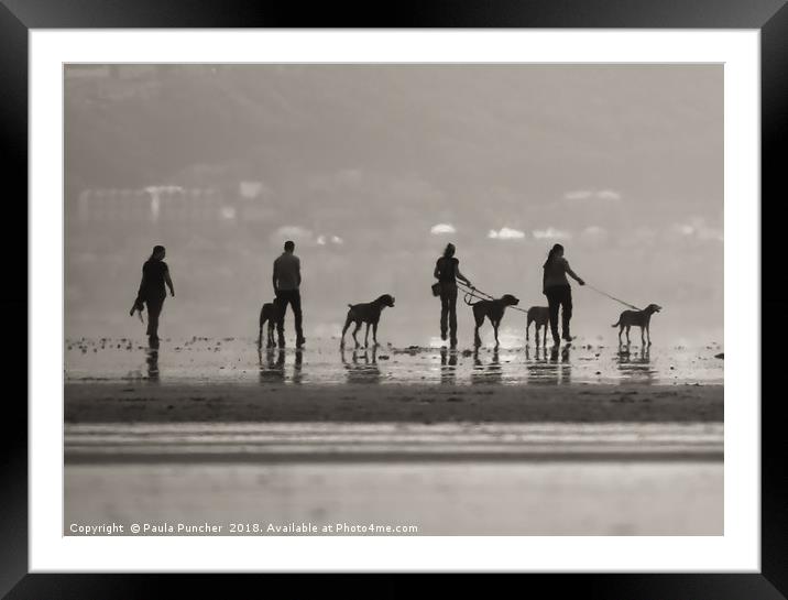 five dogs Framed Mounted Print by Paula Puncher