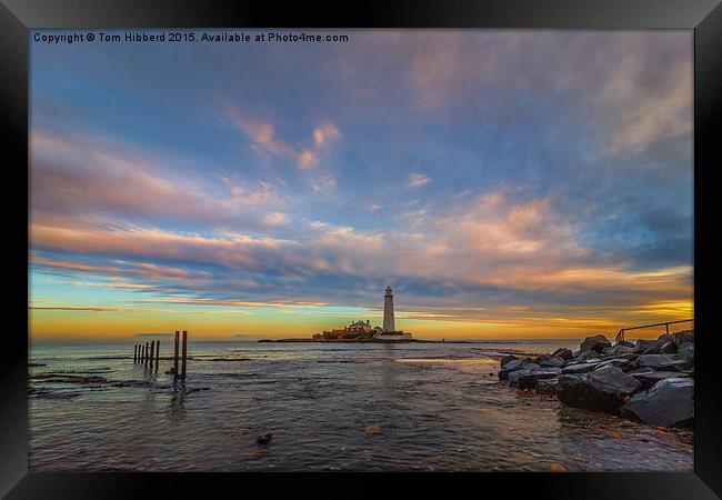  Sunrise at St Mary's Lighthouse Framed Print by Tom Hibberd