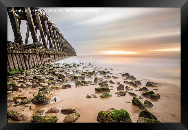 An old pier and a warm sun Framed Print by Tom Hibberd