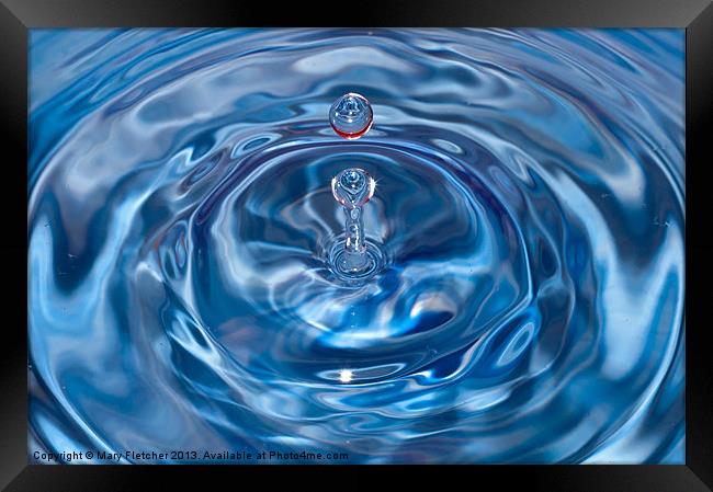 Water Drop Framed Print by Mary Fletcher