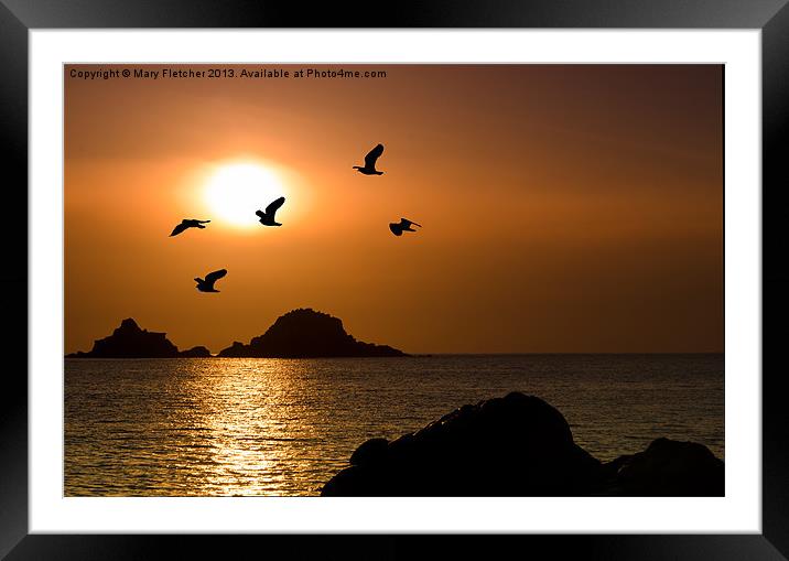 Birds Flying to Roost Framed Mounted Print by Mary Fletcher