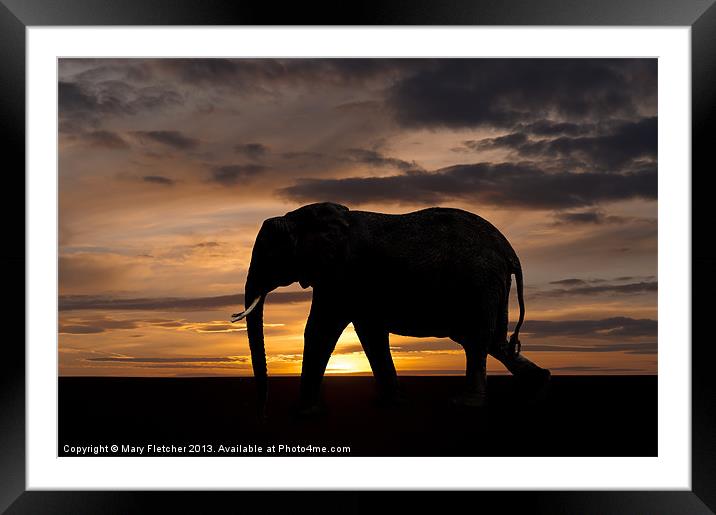 Elephant Silhouette Framed Mounted Print by Mary Fletcher